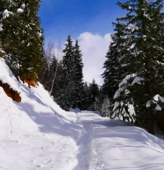 Itinéraire des Dôdes