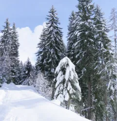 Itinéraire des Dôdes
