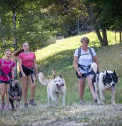 Cani Rando Montalbert