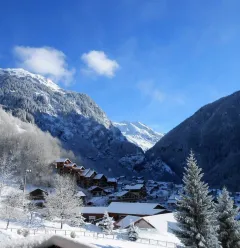 Résidence Ancolie n°40 - Wohnung 4 pers.