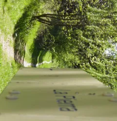 Le Chemin de la Pierra
