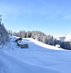 Route zum Wandern : Les Frasses_Montchavin-les-Coches