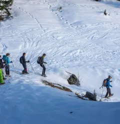 Descente raquettes