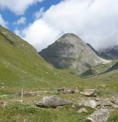 Vallon de foran la vallée de la Plagne