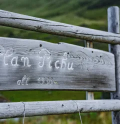 Wanderroute: Pfad auf dem Plateau von Plan Pichu_Aime-la-Plagne