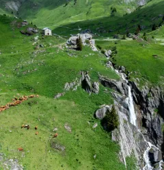 Wanderroute: Pfad auf dem Plateau von Plan Pichu_Aime-la-Plagne