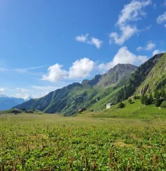 Wanderroute: Sentier de la Croix du Berger (Pfad des Hirtenkreuzes)_Aime-la-Plagne