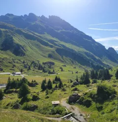 Wanderroute: Sentier de la Croix du Berger (Pfad des Hirtenkreuzes)_Aime-la-Plagne