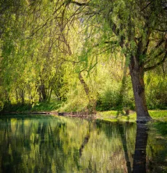 Wanderroute: Botanischer und ökologischer Pfad von Centron_Aime-la-Plagne