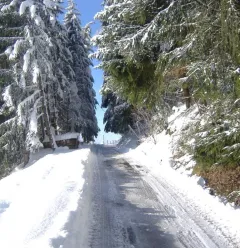 Go anywhere