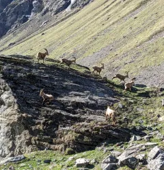 champagny le Haut
