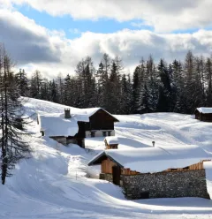 Sortie raquette