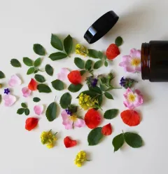 produits naturels