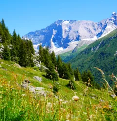 Vue sur les glaciers