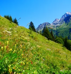 Prairie de Lécheron