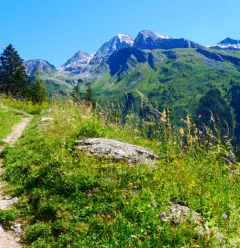 En route pour Lécheron