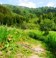 Die Hütte Plan des Gouilles über die Enclos du Seil
