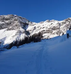 Schneeschuhwanderung „Les Teppes“