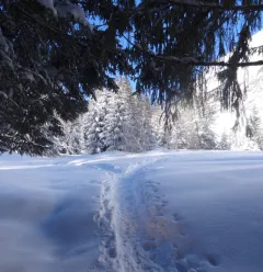 Schneeschuhroute Comba Damon