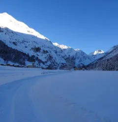 Schneeschuhroute Comba Damon