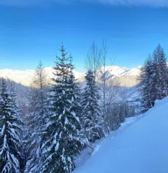 VUE DU BALCON 