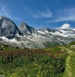 Matthieu RONDOUIN - Bergbegleiter