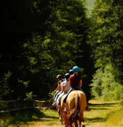 Das Chalet des Vignobles – Reiten