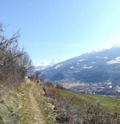 Wanderroute: Wege der 4 Jahreszeiten
