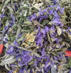 Plantes séchées