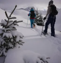 Plan bois unter den Sternen!_Montchavin-les-Coches