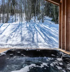 Chalet Boréal 10 personnes_Plagne-Montalbert