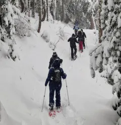 Sortie raquettes avec le Bureau des Guides de Montalbert_Plagne-Montalbert