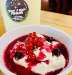 Yaourt de brebis aux fruits rouges