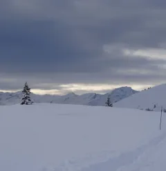 Schneeschuh-Route La Rossa