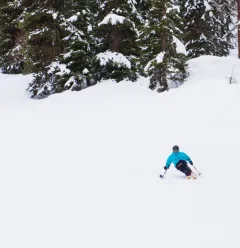 Handiski - Ski assis