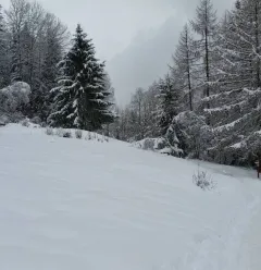 Itinéraire raquette "Montchavin-Les Coches par Praz Salvard"