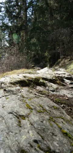 À la découverte des  roches gravées