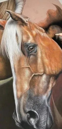 Cours de dessin et pastel_Aime-la-Plagne