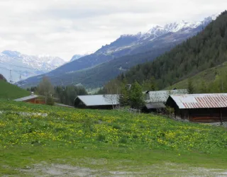 La vallée des Bauches