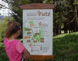 Le chemin du renard futé