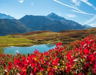 Route zum Wandern : Der See von Carroley_Montchavin-les-Coches