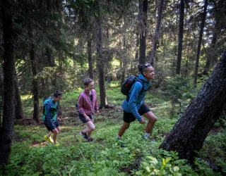Balade en forêt