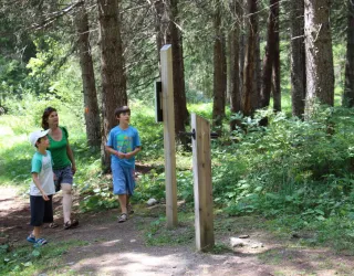 Sentier de l'explorateur en herbe