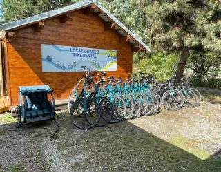 Location vélos