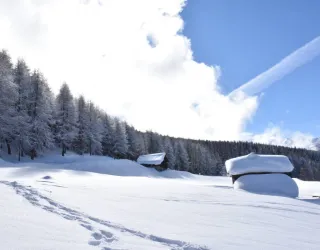 Route zum Wandern : Les Frasses_Montchavin-les-Coches