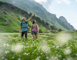 Wanderroute: Pfad auf dem Plateau von Plan Pichu_Aime-la-Plagne