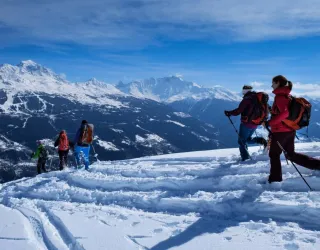 raquettes à neige 