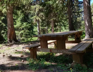 Table de pique nique à la Tourbière du Lac Noir