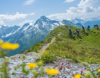 VTT de descente