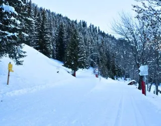 Itinéraires nordiques de Prachanié_Aime-la-Plagne